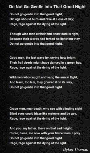 387838958_728166502658775_8790689131898620727_n