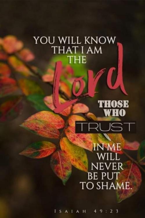 Screenshot_20231008_151430_MeWe