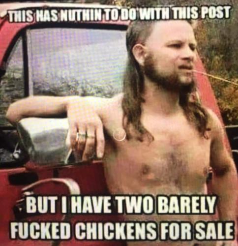 FB_IMG_1696316462900