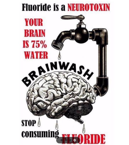 fluoride brain