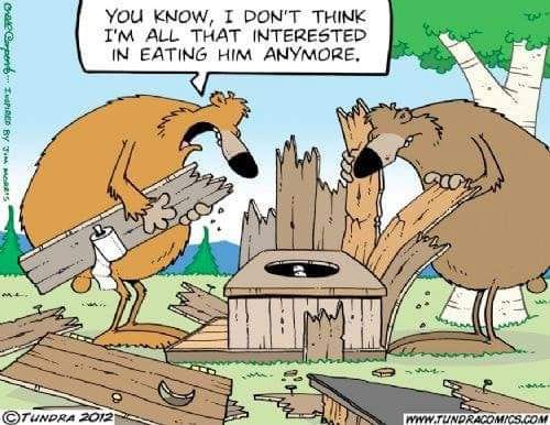 385265768_254208680940217_4833555887715780250_n