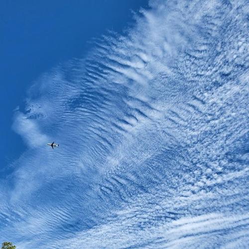 b463025d-8a86-41e4-aa05-64d86ff144f4