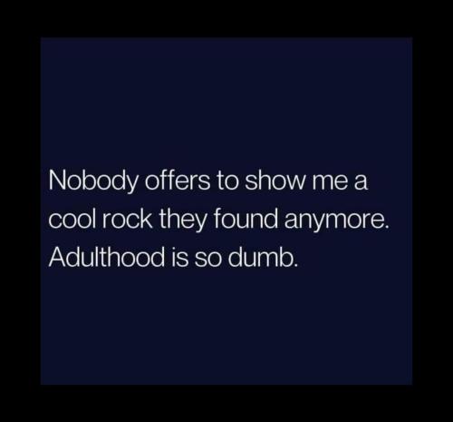 FB_IMG_1696341400880