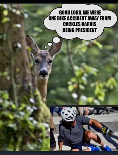 Screenshot_20231027_195705_Gallery