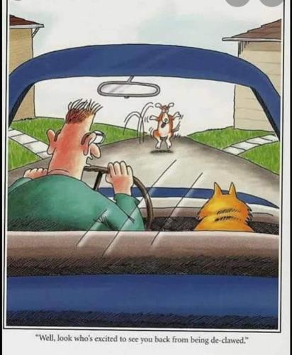 FB_IMG_1697735923229