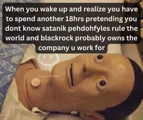 FB_IMG_1696203283597