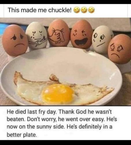 392946974_310152461733586_7954839406515910717_n