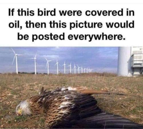 0000000000000000000000000000000000000000000000000000000000000000000000000000000000000000000000000000000000000000000000000000000000000000000000000000000000000000000000000000000000000000000000000000000000000hgtfvb