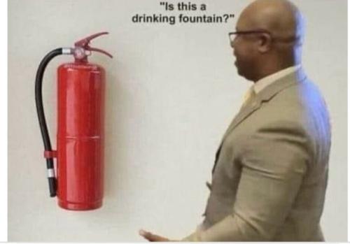 e119d83b-191f-40a4-acd8-44f6d1de5d16_710x496