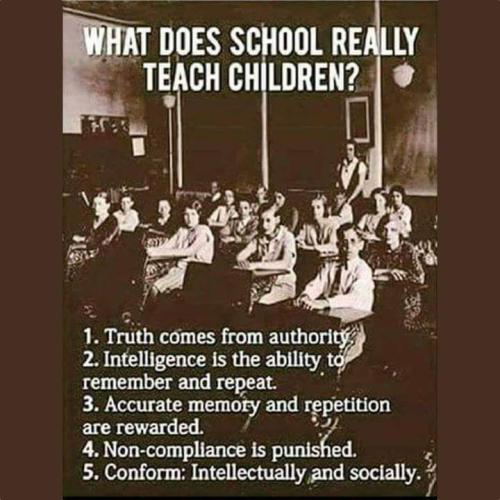 FB_IMG_1697520587164