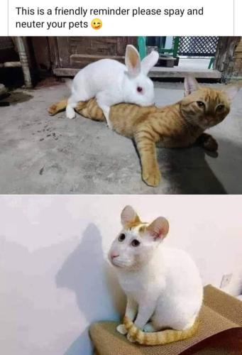 FB_IMG_1697564412816