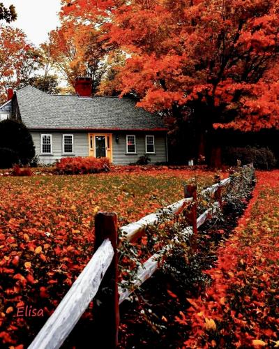 363E3BA8-F67F-4549-81BA-8C19DAEFB8A9