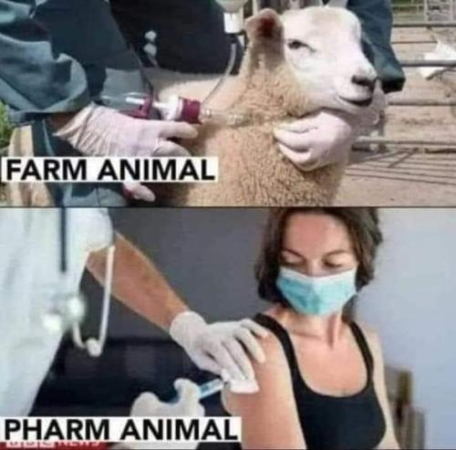 391704237_311497471604479_3352135729034539924_n