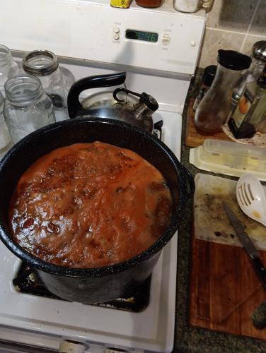 IMG_20230909_164647_01