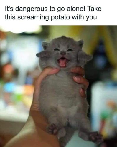 FB_IMG_1697549172939