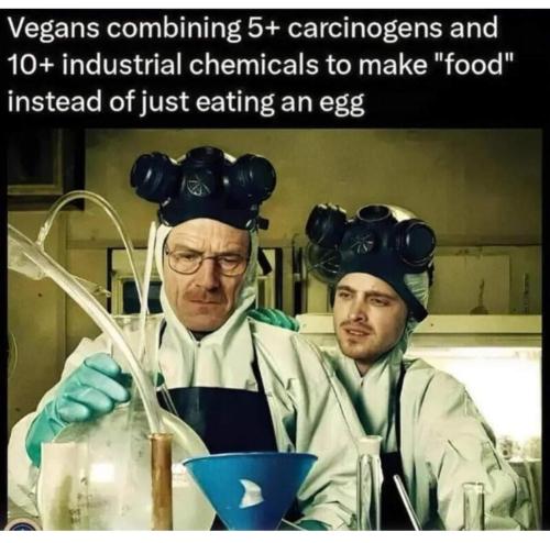 FB_IMG_1697852582013