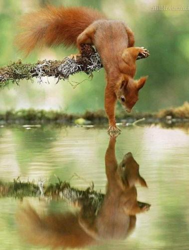 FB_IMG_1697407862062