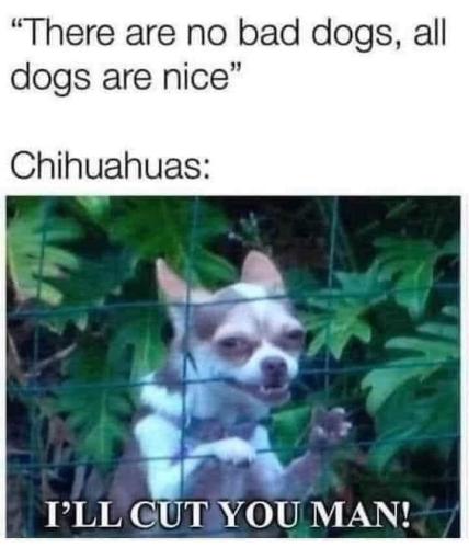 FB_IMG_1698691446075