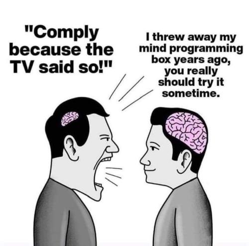 FB_IMG_1698080206318