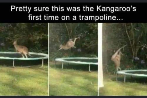 FB_IMG_1697125776369