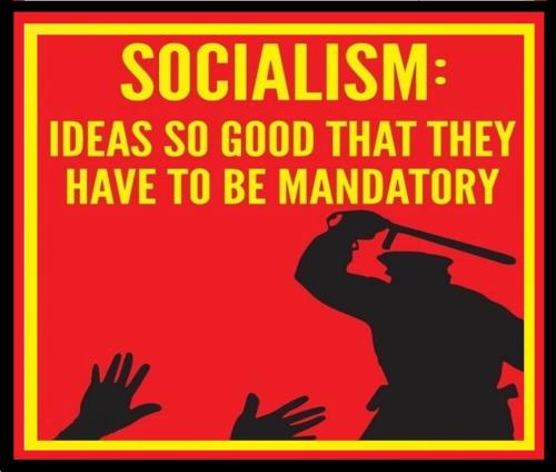 5fa36016444b9765e284d79136593341_768x0