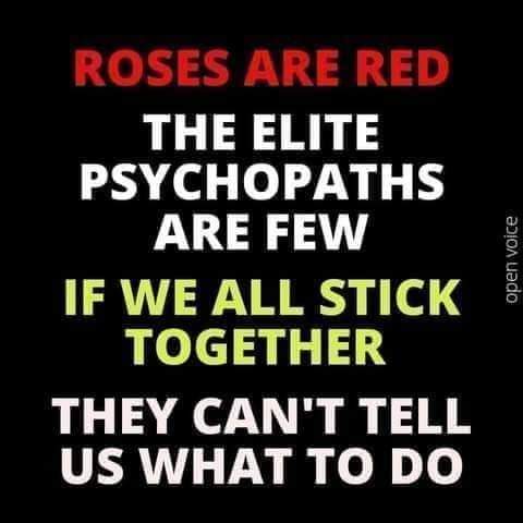 FB_IMG_1697518845576