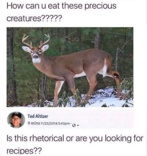 FB_IMG_1696187000570