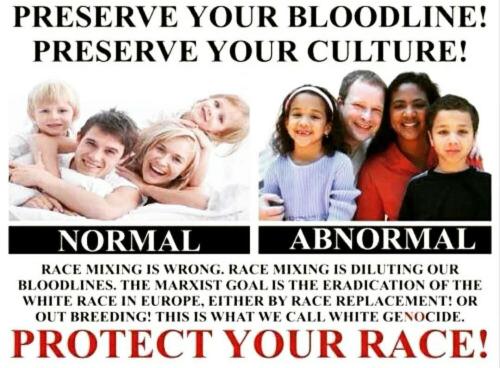 IMG_20231106_045304_114