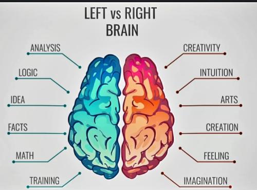 Screenshot_20231027_121009_Google