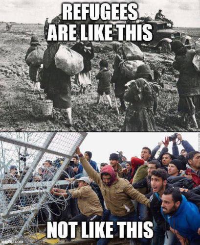 photo_2023-11-11_17-23-30