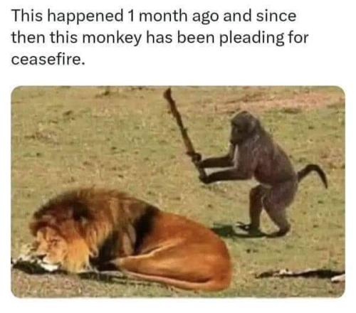 FB_IMG_1699493291759
