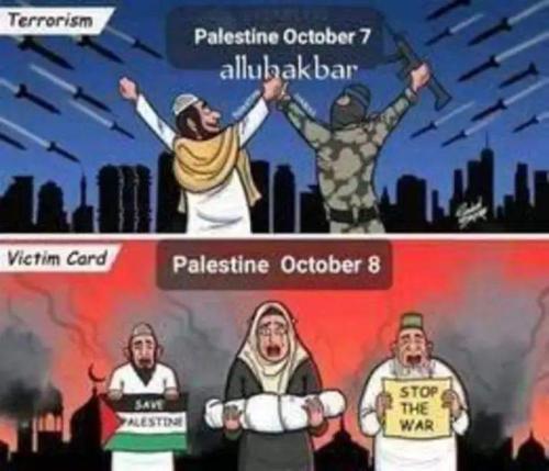 FB_IMG_1700517257900