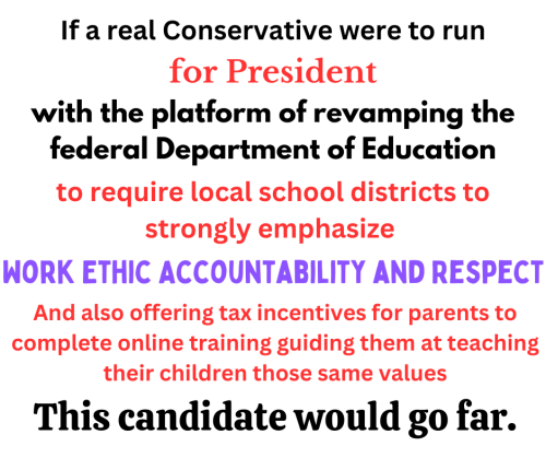 If a conservative were to run