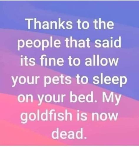 FB_IMG_1699542006176