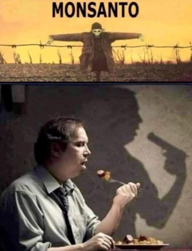 FB_IMG_1700194188825