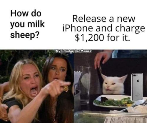 FB_IMG_1699551765021