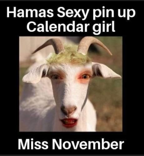 FB_IMG_1699561349555