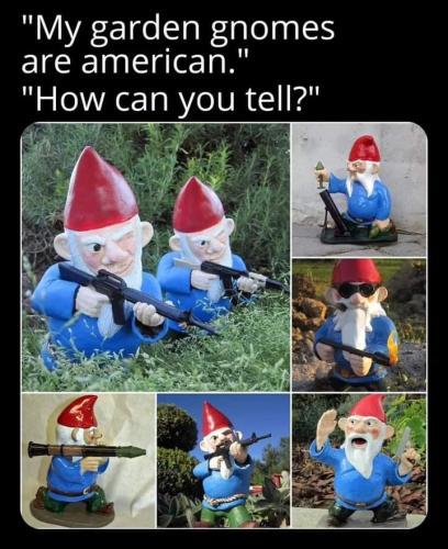 FB_IMG_1700196892336