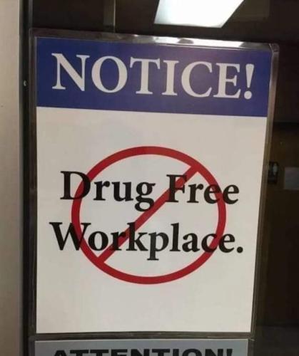 FB_IMG_1698954515739