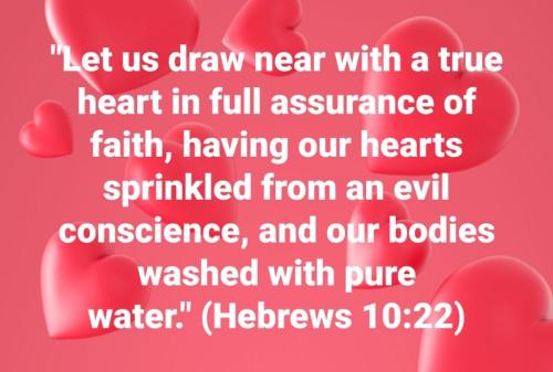 e722f69e-089a-46d3-951c-670f1cad3176