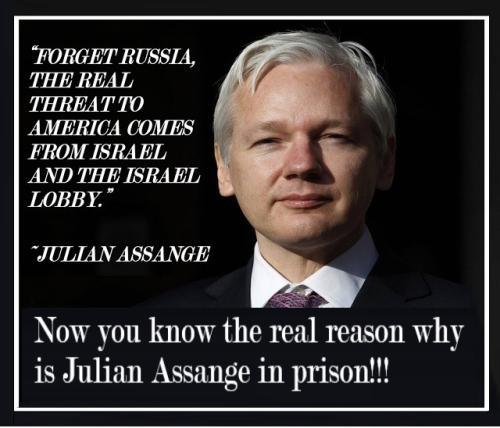 julian-assange