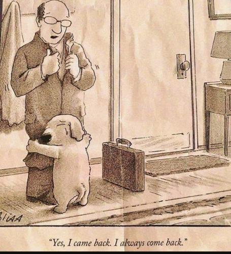 Screenshot_20231105_004244_YouTube