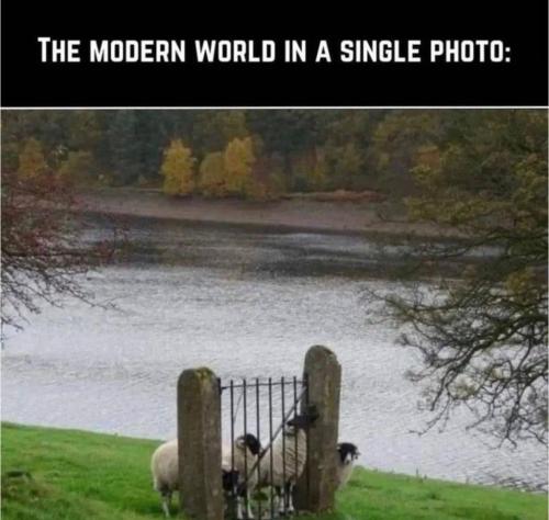 photo_2023-11-04_09-57-39