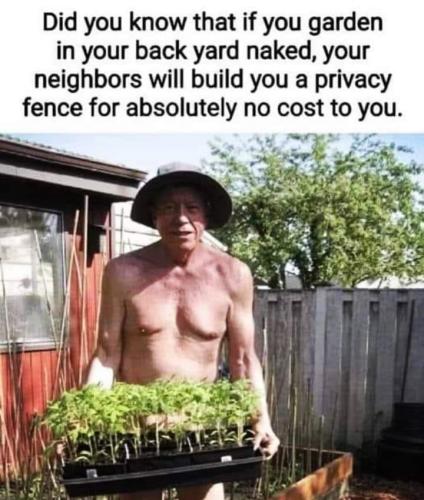 399923284_1856096824808098_3493429327509627069_n