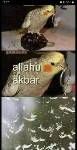 FB_IMG_1699642751932