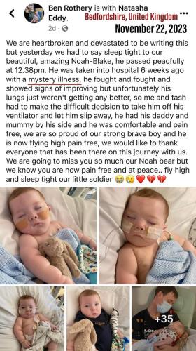 IMG_20231130_031743_816