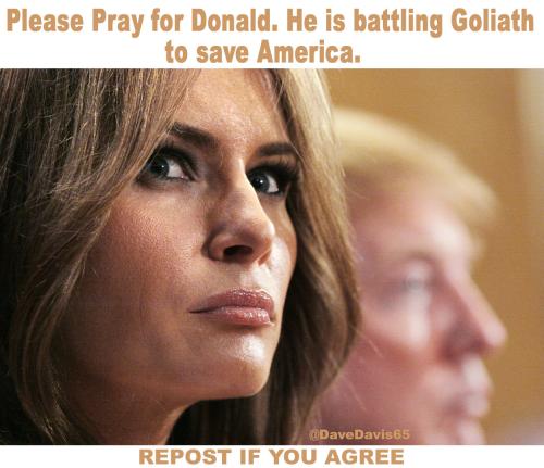 7d2d70b3-2b7a-46c6-b754-298966de2fa8