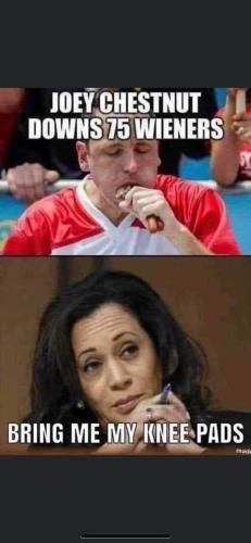 FB_IMG_1698885228956