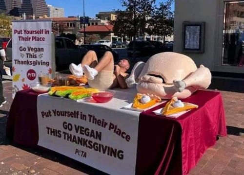 FB_IMG_1700595052726