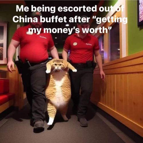 FB_IMG_1699558748660